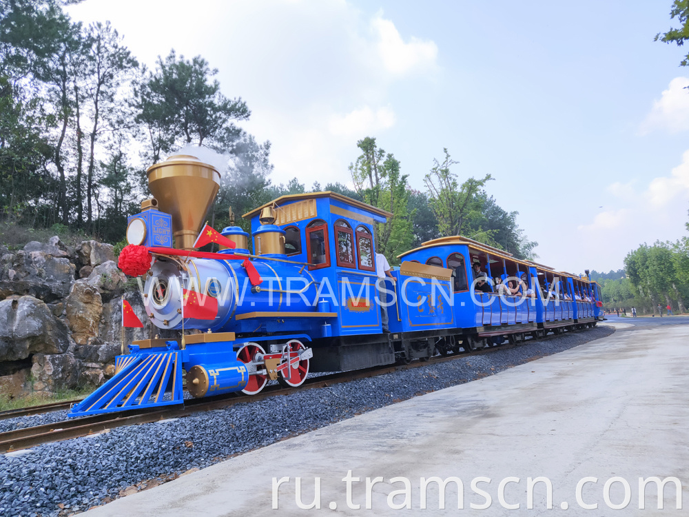 Park trains in blue colour caboose